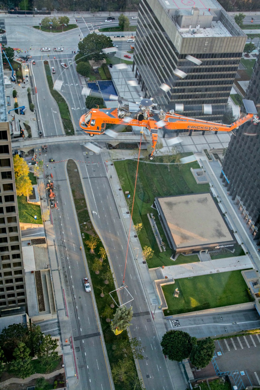Westfield Century City helicopter trees